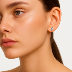 Broquel Rayo con Micro Circonias Plata .925 con Rodio