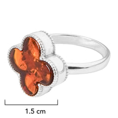 Anillo Van Flor Ambar Polaco Plata .925
