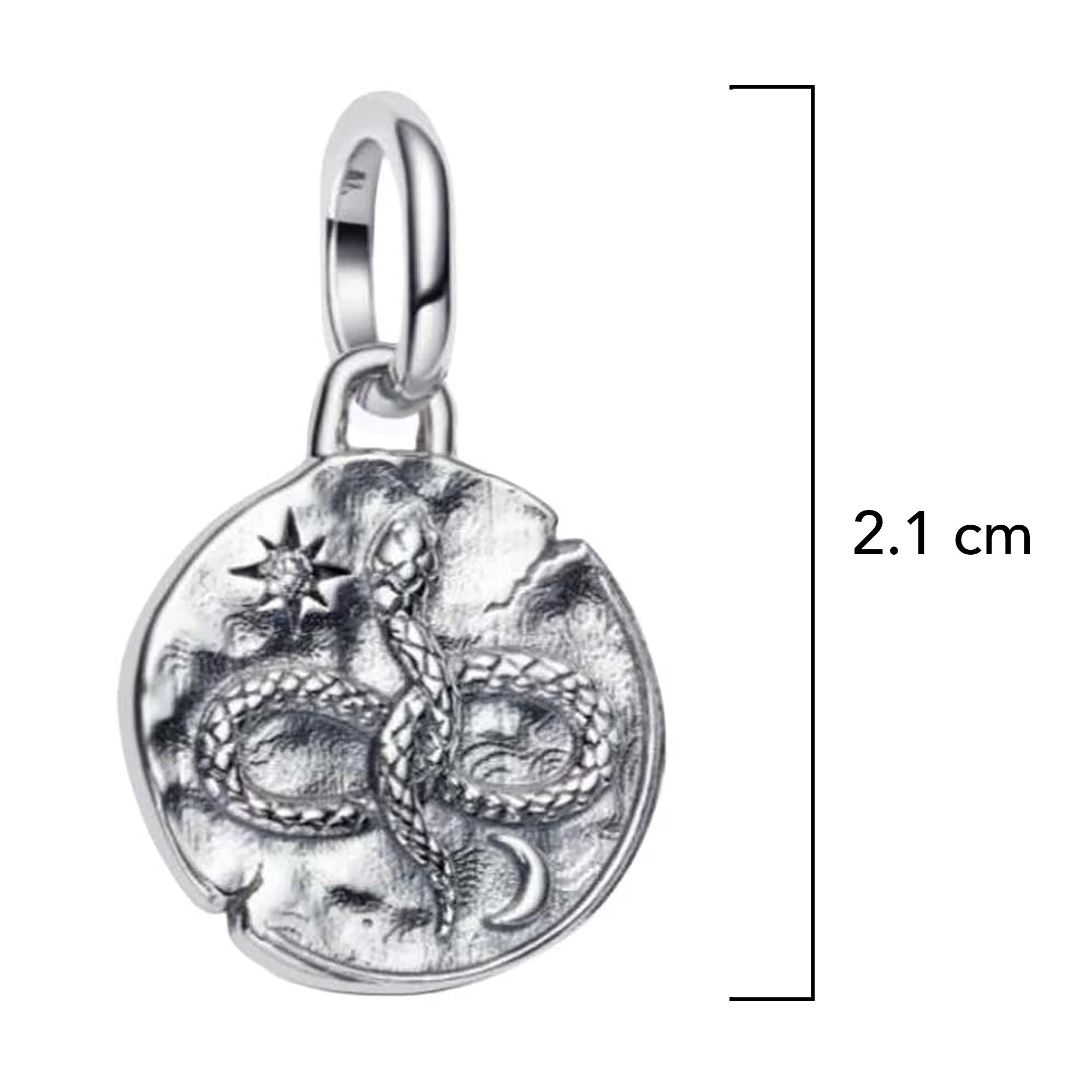 Charm Inspirado Pan 1:1 Medallón de Serpiente, Plata .925