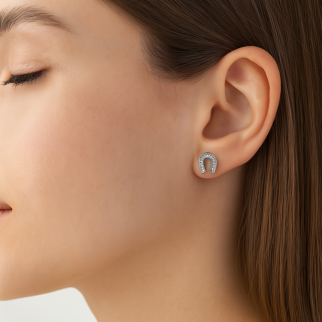 Arete Broquel Herradura con Circonias Plata .925