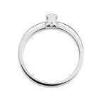 Anillo Osos 1:1 Solitario con Circonia Incrustada entre Dos Osos Plata .925 con Baño de Rodio