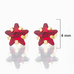 Broquel Arete Estrella Circonia Roja 10k con Bolita