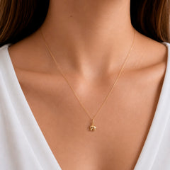 Dije Elefante Bombeado Oro 14K